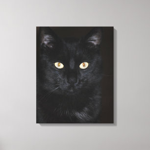 Toile Portrait de chat noir