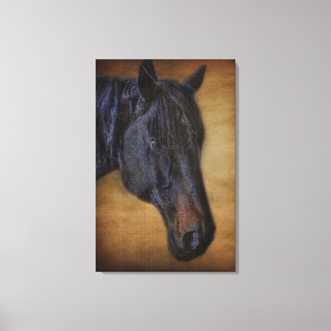 Toile Portrait de cheval noir sur effet Parchemin rustiq (Recto)