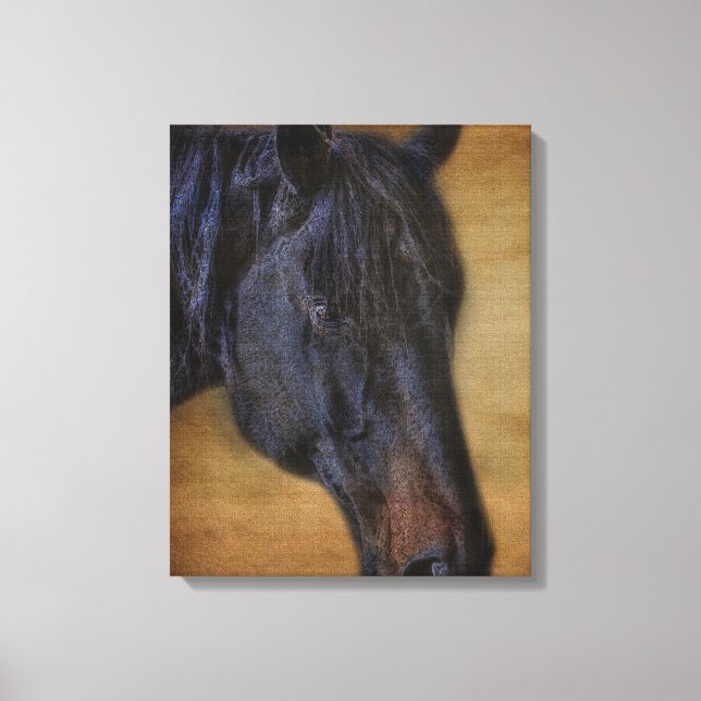 Toile Portrait de cheval noir sur effet Parchemin rustiq (Recto)