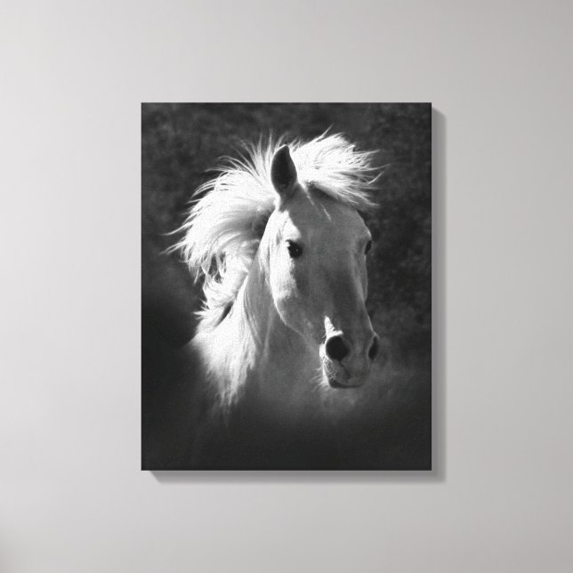Toile Portrait de cheval V (Recto)
