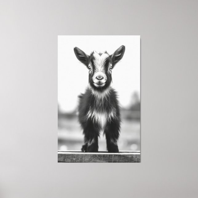 Toile Portrait de chèvre pour bébé gracieux monochromati (Recto)