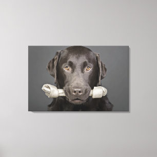 Toile Portrait de chocolat labrador