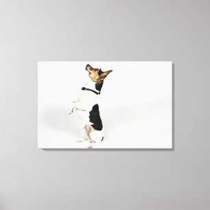 Toile Portrait de Jack Russell chien assis sur son