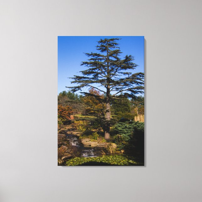Toile Portrait de l'arbre zen (Recto)