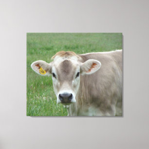 Toile Portrait de vache Sepia Jersey