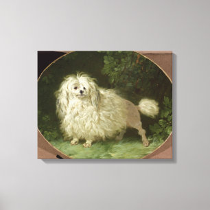 Toile Portrait d'un caniche