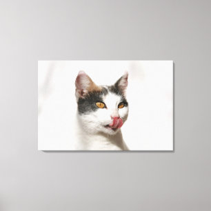 Toile Portrait d'un chat blanc léchant