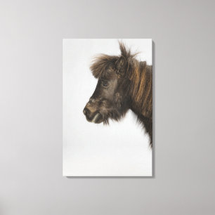 Toile portrait d'un cheval