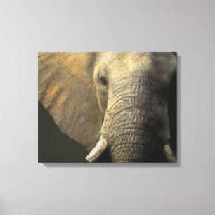 Toile Portrait éléphant