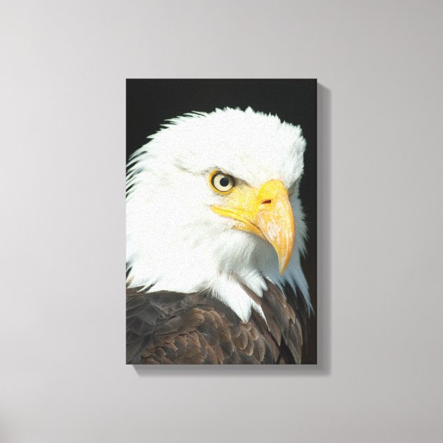 Toile Portrait Majestic Bald Eagle (Recto)