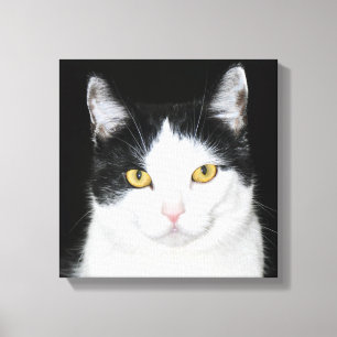 Toile Portrait noir et blanc de chat