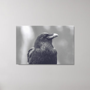 Toile Portrait noir et blanc du corbeau