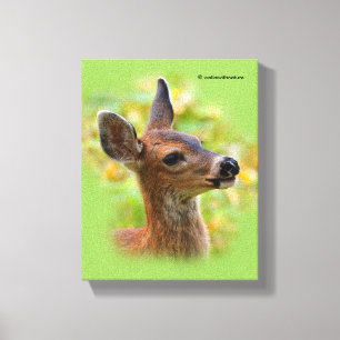Toile Portrait vierge du cerf de queue noire souriant Fa