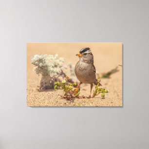 Toile Pose à frapper