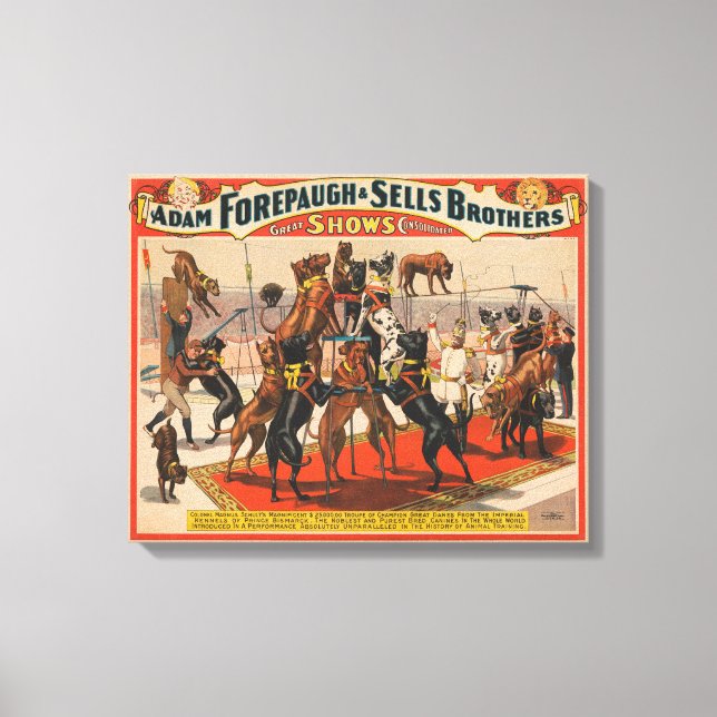 Toile Poster De Cirque Des Grands Danois Avec Entraîneur (Recto)