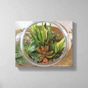 Toile Poster Succulent du Terrarium par Debra Lee Baldwi