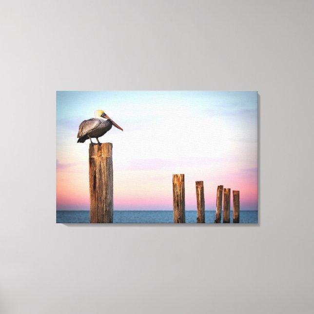 Toile Posts & a Pelican | Fort Myers Beach, Floride (Recto)