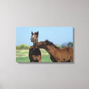 Toile Poulains jouant 2