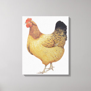 Toile Poulet 2012