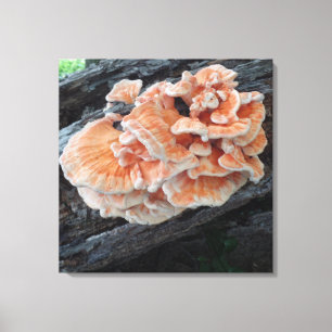 Toile Poulet de natures du champignon comestible en bois