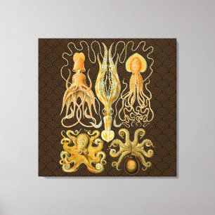 Toile Poulpe Céphalopode Calmar Nature Marine