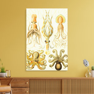 Toile Poulpe Vintage Squid Gamochonia par Ernst Haeckel