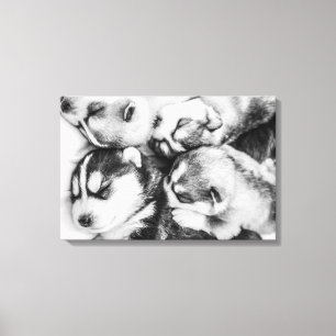 Toile Poupées Husky en sommeil