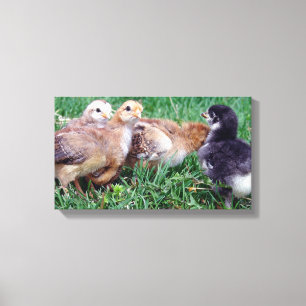 Toile Poussins