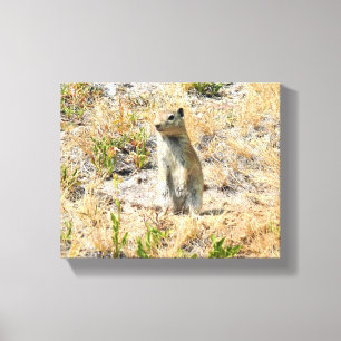 Toile Prairie Dog in Yosemite