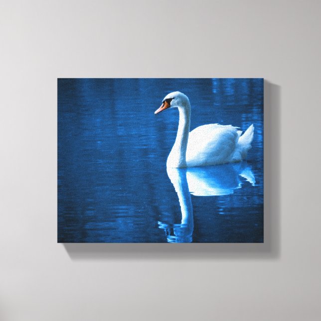 Toile Pretty white swan floating on blue lake (Recto)