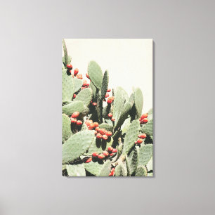 Toile Prickley Pear Cactus