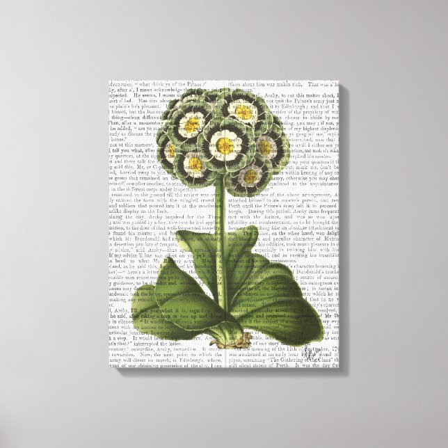 Toile Primula Auraria Bleu (Recto)