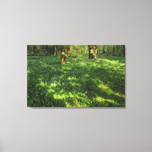 Toile Printemps dans les bois