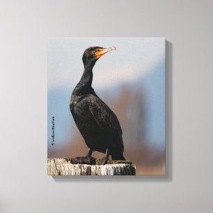 Toile Profil d'un Cormorant à deux casiers