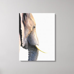 Toile Profil éléphant portrait animal de la jungle