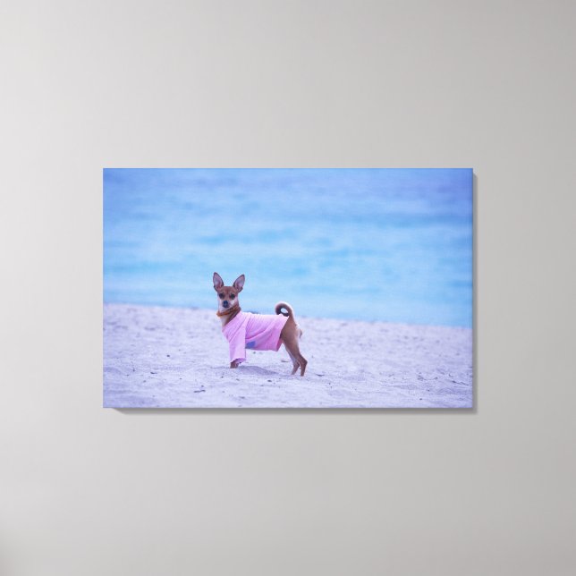 Toile Profil latéral d'un chien debout sur la plage, (Recto)