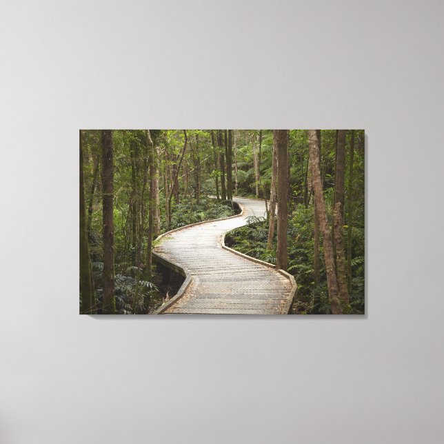 Toile Promenade à Nelson Falls, Franklin - Gordon (Recto)