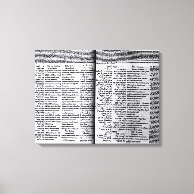 Toile Psaume de David : Psalterim Octaplums, 1516 (Recto)