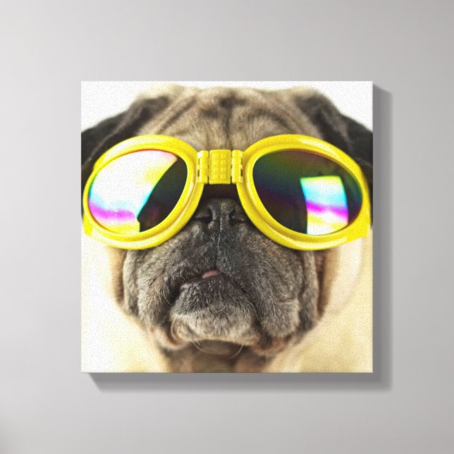 Toile Pug with Goggles (Recto)