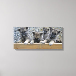 Toile Puppies de Norvège