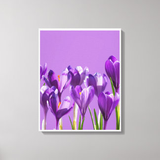 Toile Purple Crocus Awakening