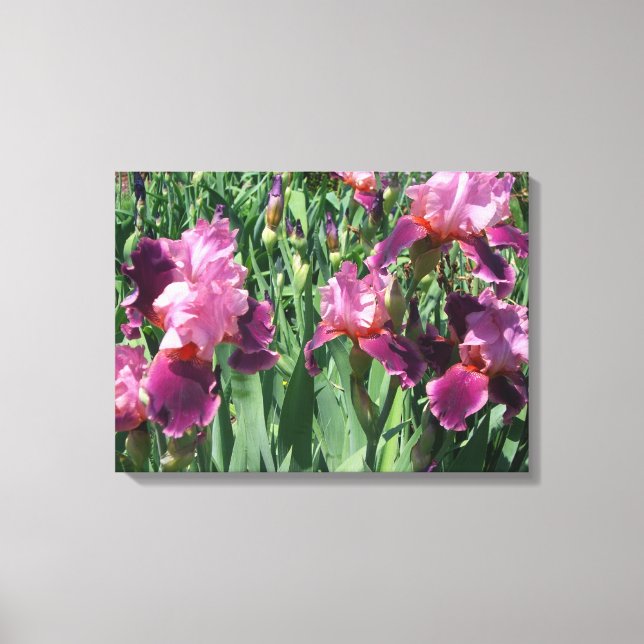 Toile Purple Irises Printemps Floral (Recto)