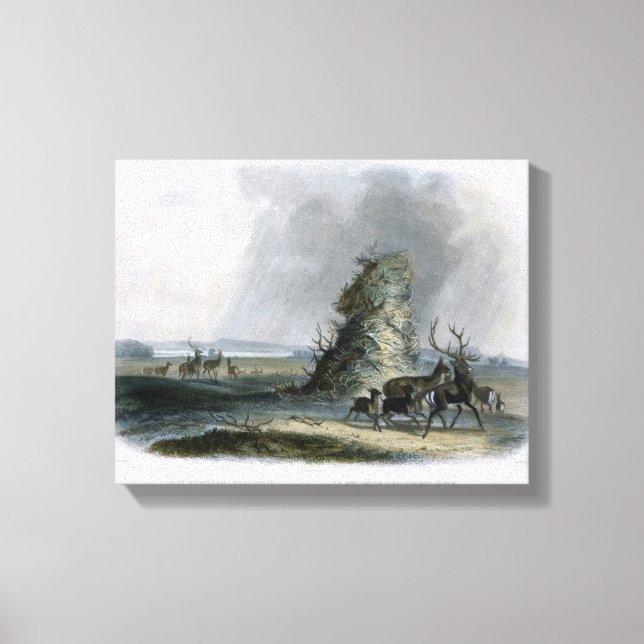 Toile Pyramide de l'Elkhorn dans le Haut Missouri, plaqu (Recto)