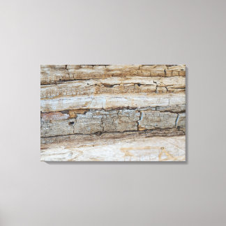 Toile QUADRO EM TELA CANVAS médio NATUREZA BRASIL