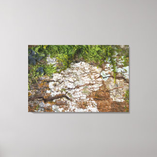 TOILE QUADRO EM TELA CANVAS NATUREZA BRASIL