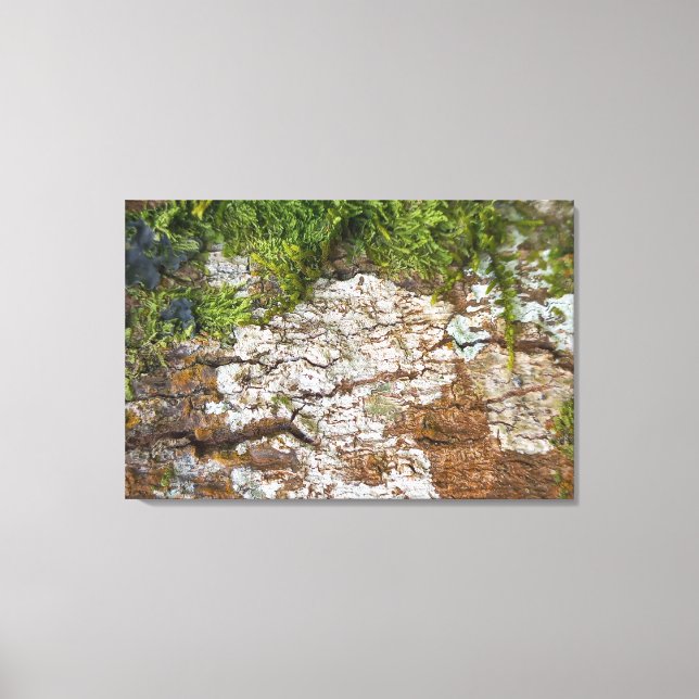 TOILE QUADRO EM TELA CANVAS NATUREZA BRASIL (Recto)