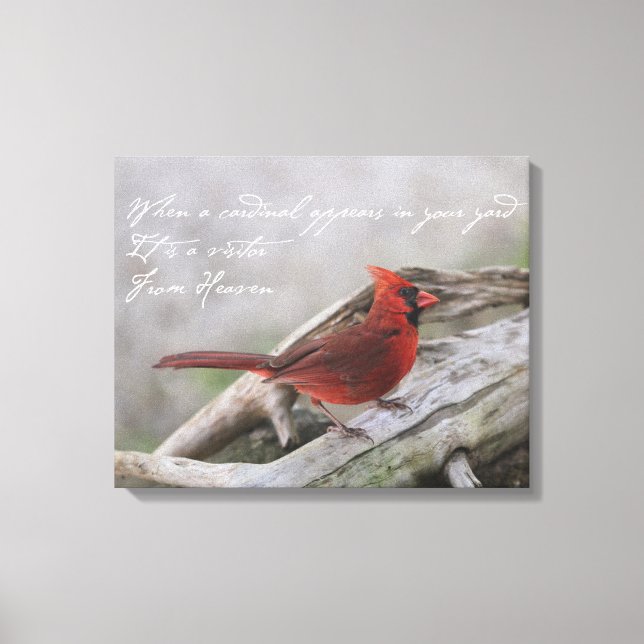Toile Quand un cardinal apparaît dans votre cour.... (Recto)