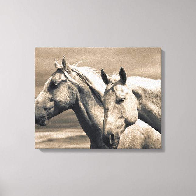 Toile Quart De Chevaux Sur Les Prairies Canadiennes (Recto)