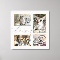 Quatre Photos pour animaux de compagnie Collage Lo