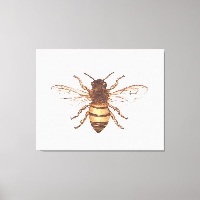 Toile Queen Bee (Recto)